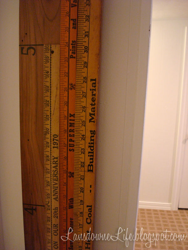 Growth Chart Stick