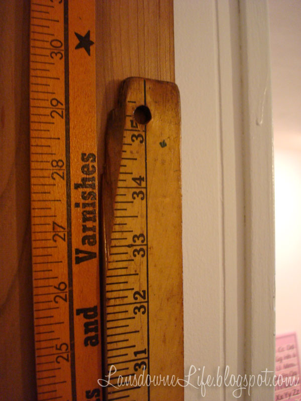 Vintage yard stick growth chart