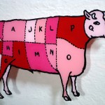 Back-painted glass cow diagram