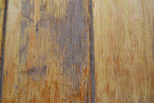 Worn finish on wood front door