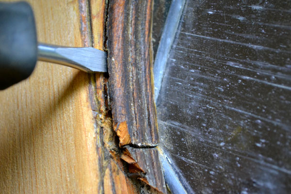 Rotted trim on front door