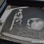 Another antique find: Two dogs in a trunk!