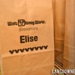Disney World Magic Kingdom birthday party: Favors, Part 1