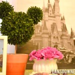 Disney World Magic Kingdom birthday party: Decorations