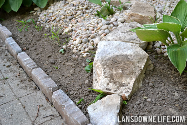 Landscaping bed with hostas and river rock