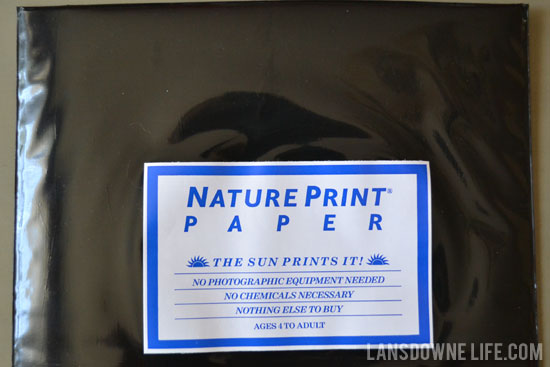 Nature Print paper to make sunprints