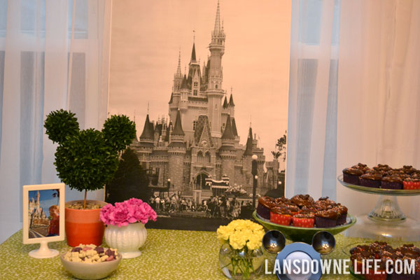 Disney World Magic Kingdom birthday party decorations