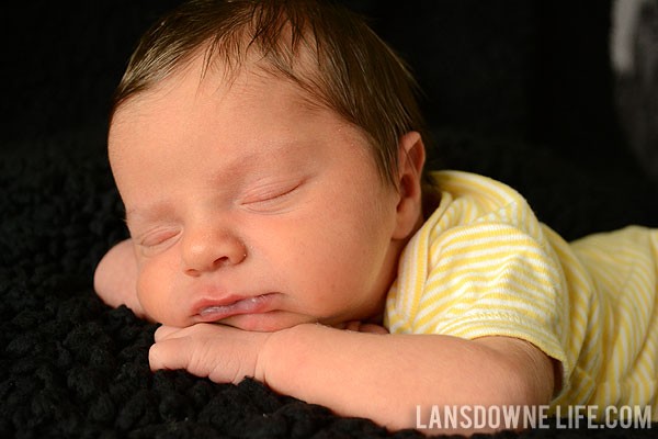 Newborn photography tips for moms