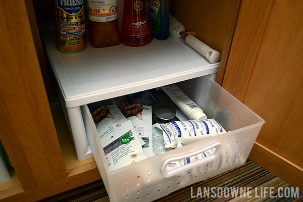 Organizing the cabinet under the kitchen sink - Lansdowne Life