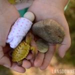 Buried treasure: Kid’s backyard time capsule