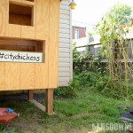 #citychickens hash tag sign + Uncle Adam’s urban homestead