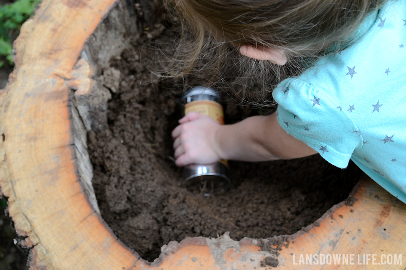 Burying backyard treasure