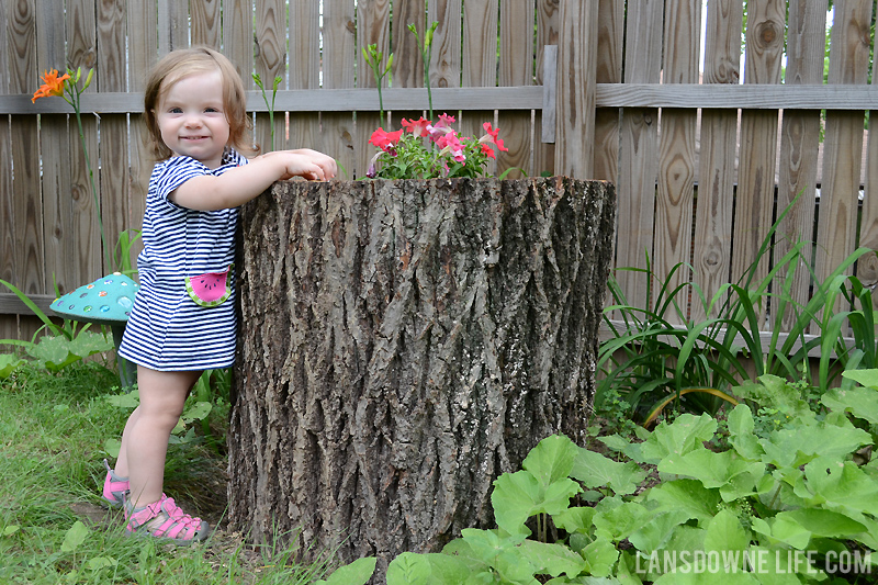 Hollow tree log planter