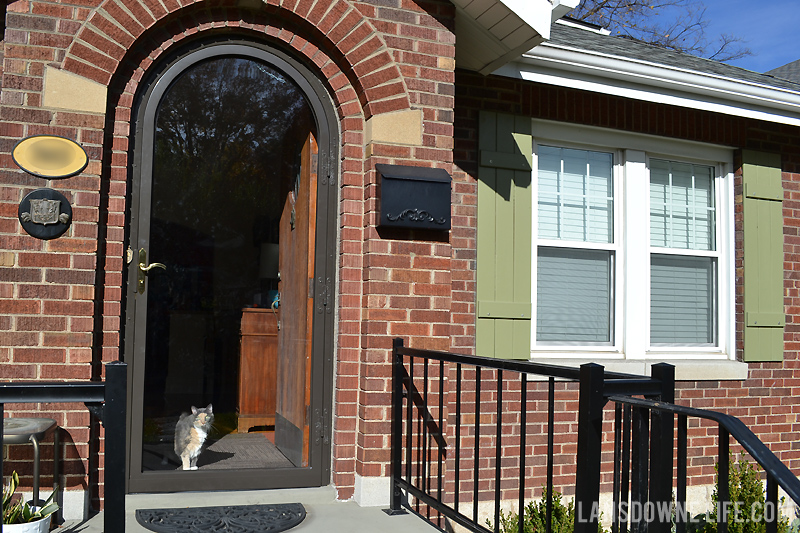 Arch top storm door