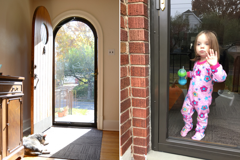 Everyone's a fan of the new storm door